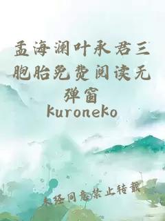 孟海瀾葉承君三胞胎免費(fèi)閱讀無(wú)彈窗