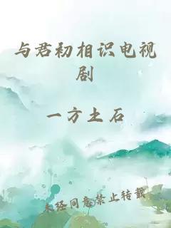 與君初相識電視劇