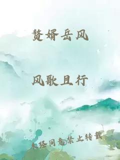 贅婿岳風