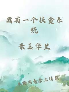 我有一個(gè)扶貧系統(tǒng)