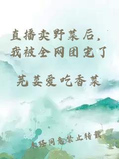 直播賣野菜后，我被全網(wǎng)團(tuán)寵了