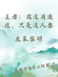 王者：我沒有退役，只是沒人要