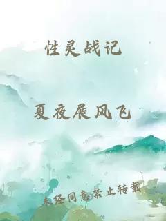 性靈戰(zhàn)記