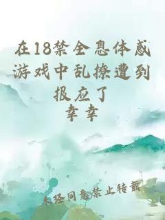 在18禁全息體感游戲中亂撩遭到報應(yīng)了