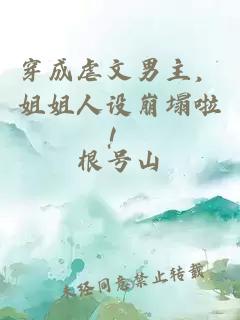 穿成虐文男主，姐姐人設(shè)崩塌啦！