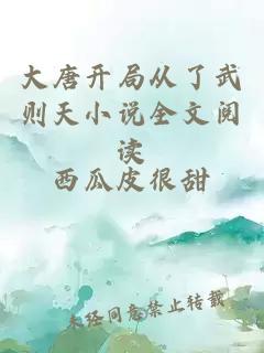 大唐開(kāi)局從了武則天小說(shuō)全文閱讀