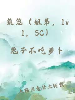 筑籠（姐弟，1v1，SC）