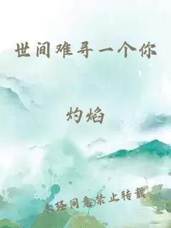 世間難尋一個(gè)你