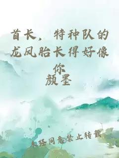 首長(zhǎng)，特種隊(duì)的龍鳳胎長(zhǎng)得好像你