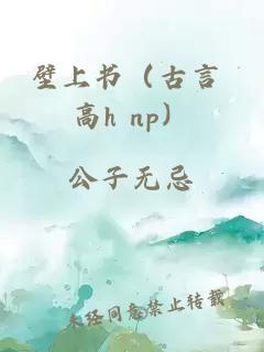 壁上書（古言 高h(yuǎn) np）