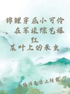 錦鯉穿成小可憐，在軍旅綜藝爆紅