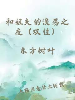 和姐夫的浪蕩之夜（雙性）