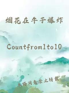 煙花在牛子爆炸