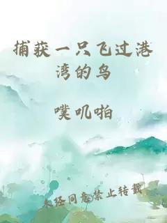 捕獲一只飛過港灣的鳥