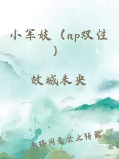 小軍妓（np雙性）