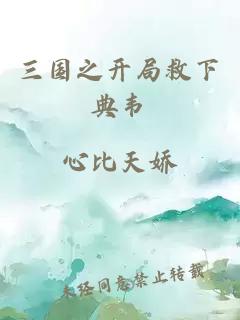 三國之開局救下典韋