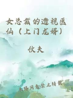 女總裁的透視醫(yī)仙（上門龍婿）