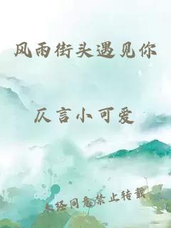 風(fēng)雨街頭遇見你