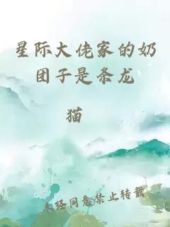 星際大佬家的奶團子是條龍