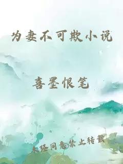 為妻不可欺小說