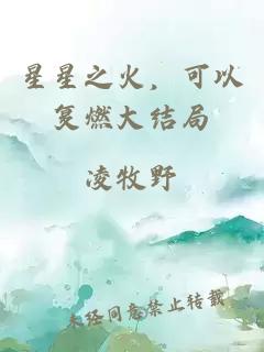 星星之火，可以復(fù)燃大結(jié)局