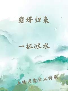 霸婿歸來(lái)