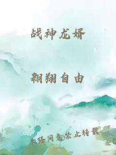 戰(zhàn)神龍婿