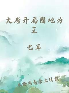 大唐開局圈地為王